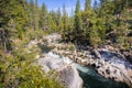 Stanislau River running through a pine and fir forest