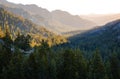 Stanislaus National Forest Royalty Free Stock Photo