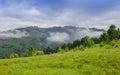 Stanisoarei mountains in Romania, summer landscape