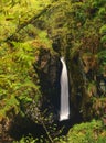 Stanley Ghyll Force, Eskdale, Cumbria Royalty Free Stock Photo