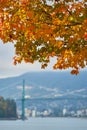 Burrard Inlet Fall Colours vertical Royalty Free Stock Photo
