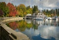Stanley Park Autumn, Vancouver Royalty Free Stock Photo