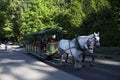 Stanley Park horse carriage riding