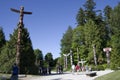 Stanley Park Totem Poles native artworks