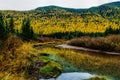 Stanton Creek Autumn Colors