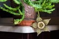 Stapelia variegata flower