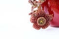 Stapelia variegata flowering plant with white background