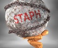 Staph and hardship in life - pictured by word Staph as a heavy weight on shoulders to symbolize Staph as a burden, 3d illustration Royalty Free Stock Photo
