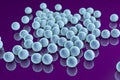 Staphylococci, spherical bacteria Royalty Free Stock Photo