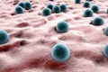 Staphylococci on the surface of skin