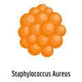 Staphylococcus aureus icon, cartoon style.