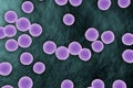 Staphylococcus bacterium microscopic view on surface