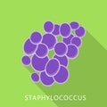 Staphylococcus icon, flat style Royalty Free Stock Photo