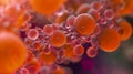 Staphylococcus (staph) is a group of bacteria under the microscope. 3d visualization