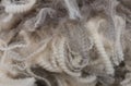 Staples of merino wool Royalty Free Stock Photo