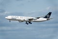 Star Alliance Airbus A340 airplane approaching Frankfurt International Airport