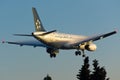 Star Alliance Airbus A320 Condensation Royalty Free Stock Photo