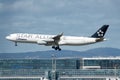 Star Alliance long haul aircraft landing in Frankfurt Airport