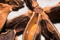 Star anis / anice Royalty Free Stock Photo