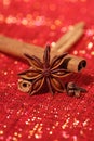 Star Anis , Cinnamon sticks and Gloves Royalty Free Stock Photo