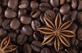 Star anise, on the background of coffee with beautiful highlights on the surface of grains Royalty Free Stock Photo