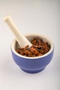 Star anise in a blue ceramic spice mortar with a pestle on a white background. Close up Royalty Free Stock Photo