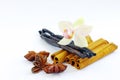 Star anise, cinnamon, vanilla Royalty Free Stock Photo