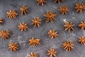 star anise on a gray background Royalty Free Stock Photo