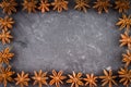 star anise on a gray background Royalty Free Stock Photo