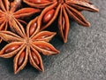 Star anise on gray background close up Royalty Free Stock Photo