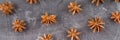 star anise on a gray background Royalty Free Stock Photo