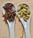 Star anise, green cardamom and fennel seeds