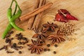 Star anise, green chili, pepper, cinnamon and other spices - wood background