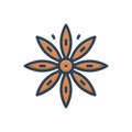 Color illustration icon for Star Anise, tree and illicium