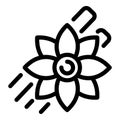 Star anise icon, outline style