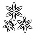 Star anise icon, simple style