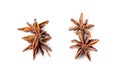 Star Anise Isolated, Illicium Spice, Badiane, Dry Anise Royalty Free Stock Photo