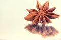 Star Anise lat. Illicium verum. Spice badyan