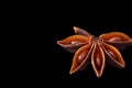 Star anise pod with seeds cooking flavouring spice.