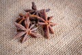 Star anise on rustic sack