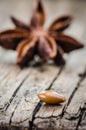 Star anise seed Royalty Free Stock Photo