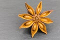 Star anise seed Royalty Free Stock Photo