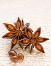 Star Anise