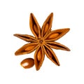 Star anise. Single star anise fruit with one seed. Macro close up  on white square background with shadow, top Royalty Free Stock Photo