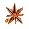 Star anise. Single star anise fruit with one seed. Macro close up Isolated on white square background with shadow, top view of Royalty Free Stock Photo