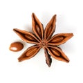 Star anise. Single star anise fruit with one seed. Macro close up Isolated on white square background with shadow, top view of Royalty Free Stock Photo