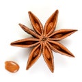 Star anise. Single star anise fruit with seed. Macro close up Isolated on white square background with shadow, top view of chinese Royalty Free Stock Photo