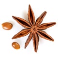 Star anise. Single star anise fruit with two seeds. Macro close up Isolated on white square background with shadow, top view of