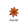 Star anise spice. Aromatic condiment. Isolated vector hand drawn