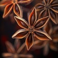 Star anise spice fruit, close up